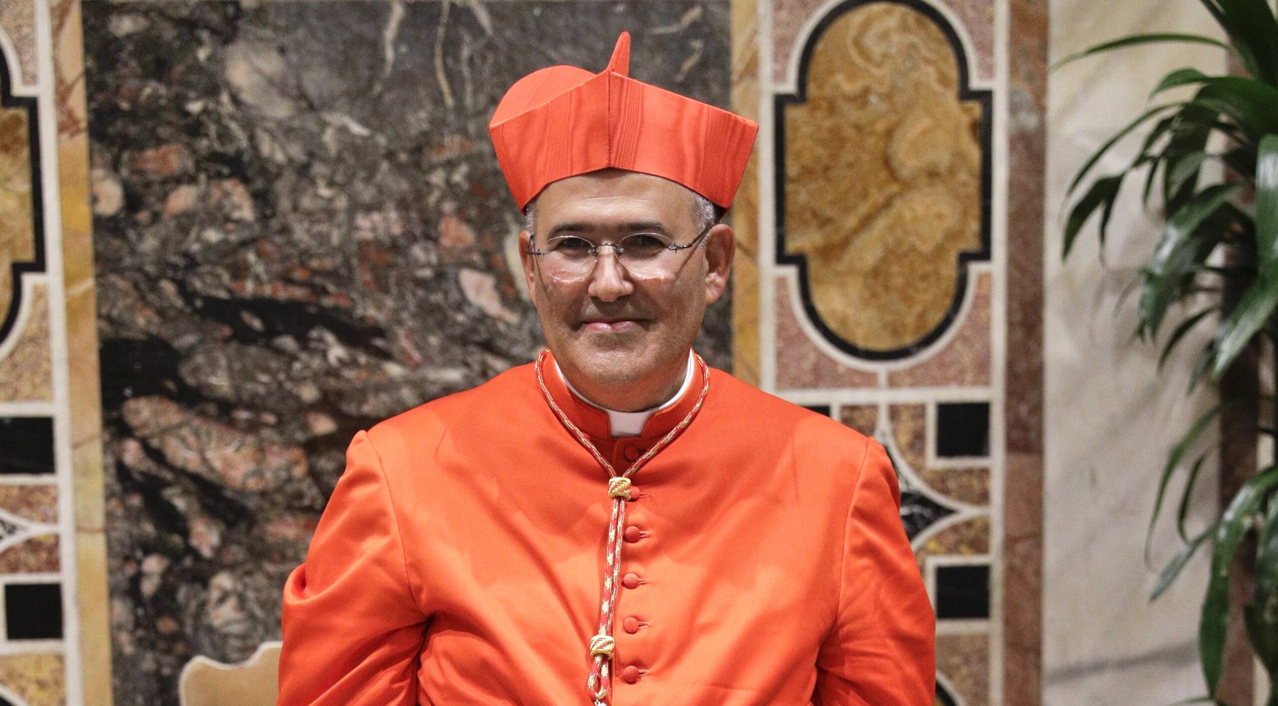 Cardenal José Tolentino de Mendonça