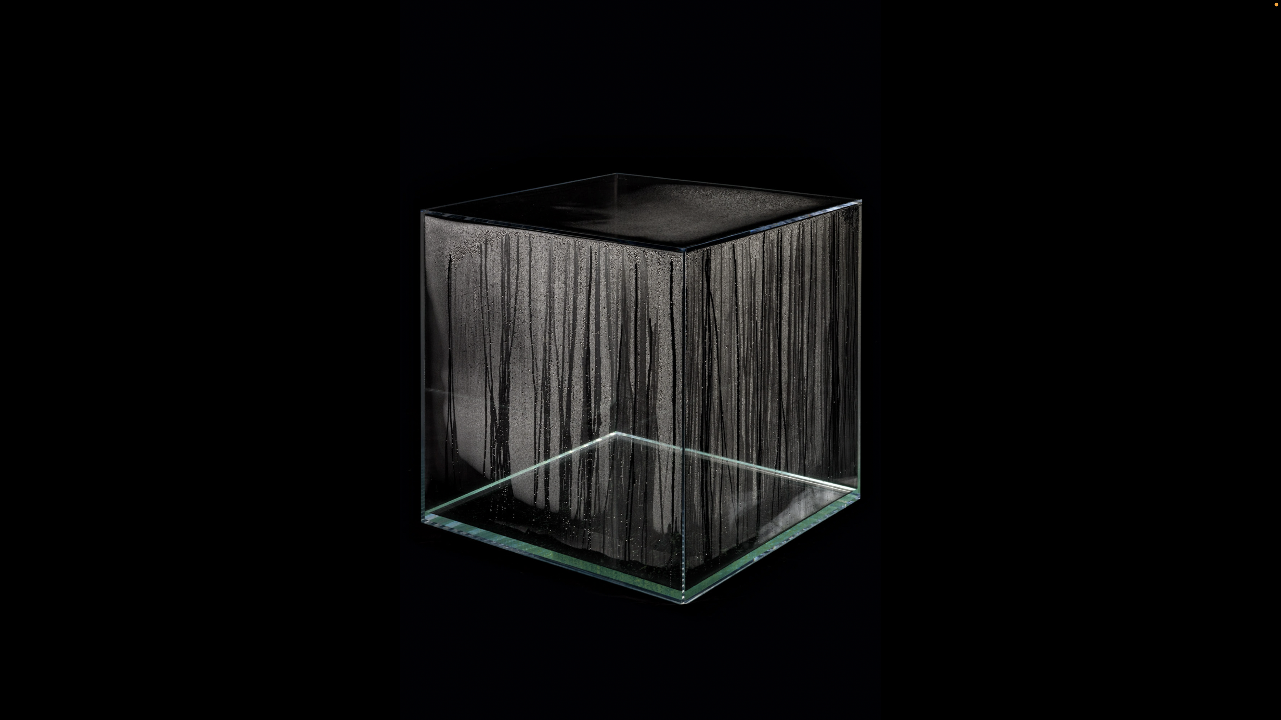 Por qué el dólar estadounidense seguirá dominando el mundo: geopolítica de  las stablecoins - El Grand Continent