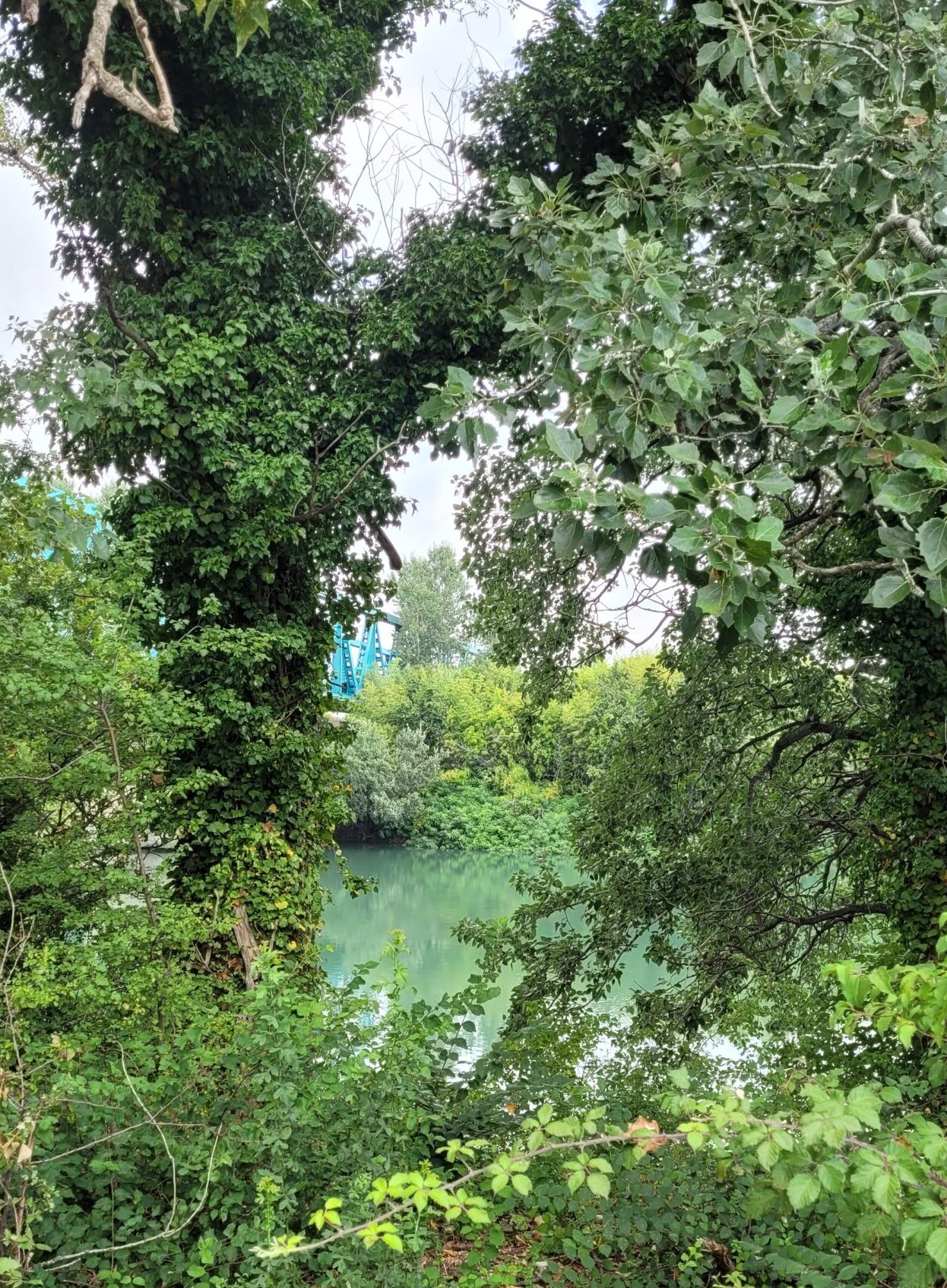 Para todos los paseos que hago, salgo a pie desde mi casa, en el centro de Arles, y en cinco minutos estoy en plena naturaleza. © Françoise Nyssen