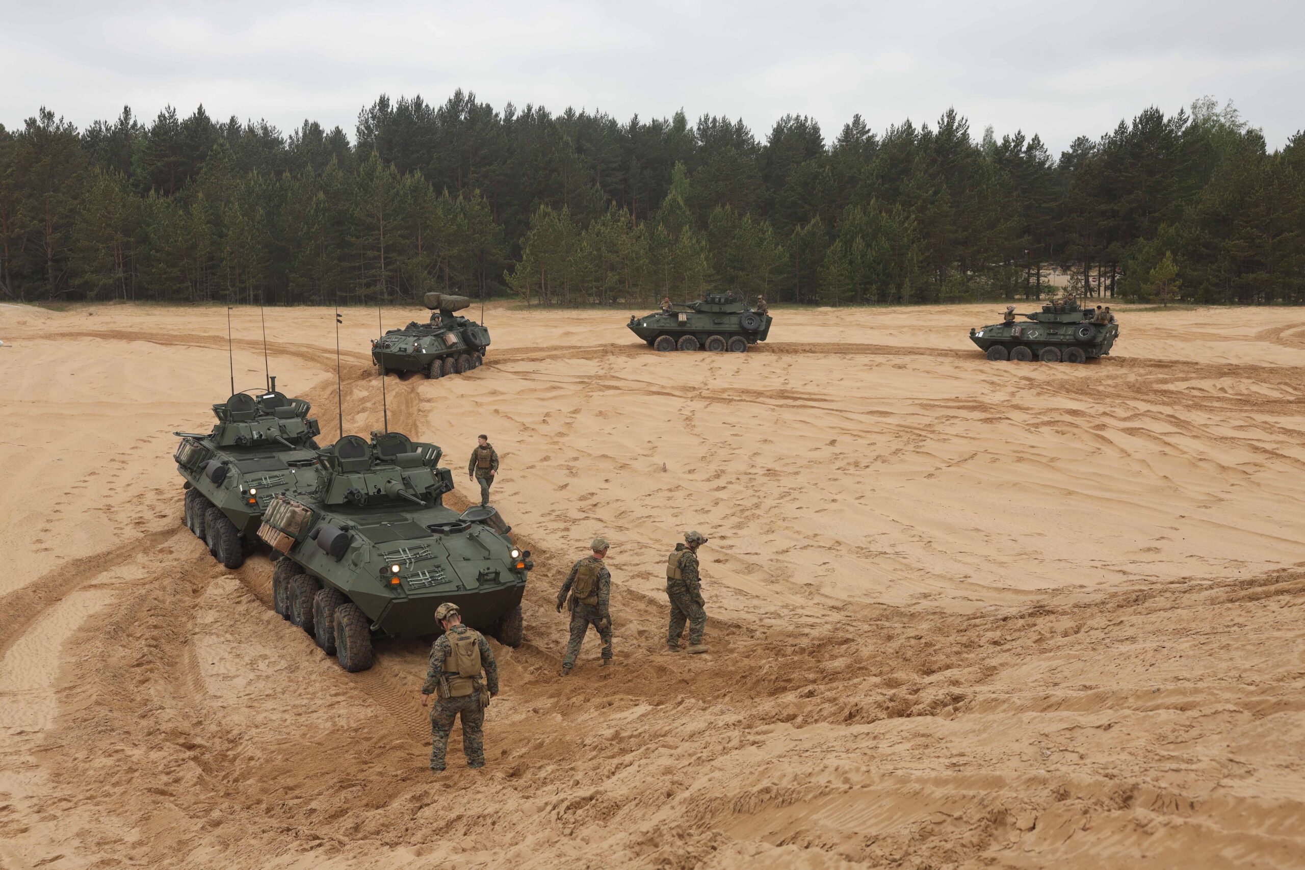 «Pero a su alrededor, la depredación de los imperios no se andará con miramientos».