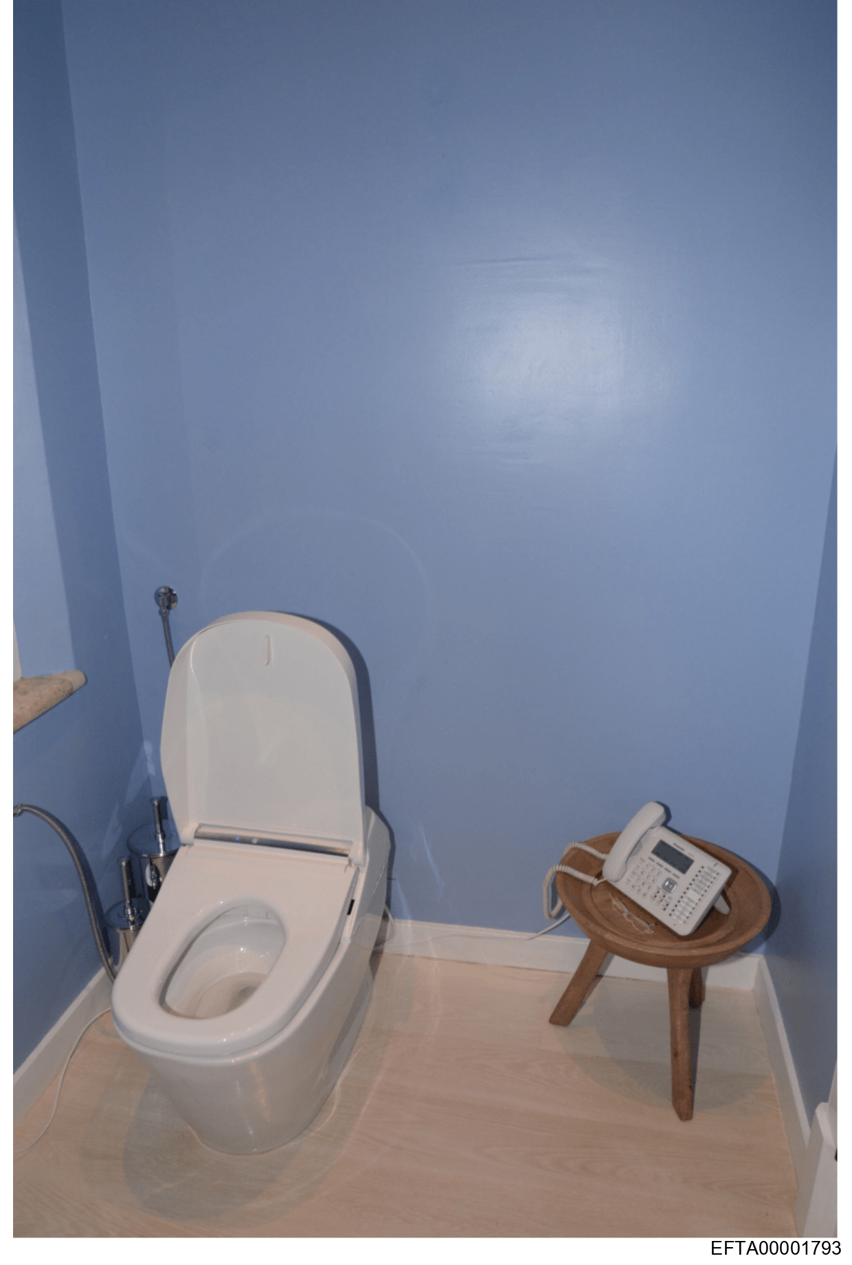 «WC azul y teléfono / Blue alcove toilet and phone», Little St. James Fotografía digital (toma judicial), EFTA00001793