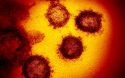 Covid19 coronavirus épidémiologie Covid-19 pandémie phase 3 France Europe