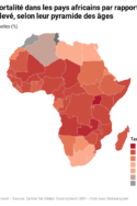 Carte taux de mortalité dans les pays africains par rapport aux pays à revenu élevé Union africaine pandémie covid-19 économie société fragile PMA développement pauvreté santé publique aides FMI Chine Afrique France travail investissements croissance