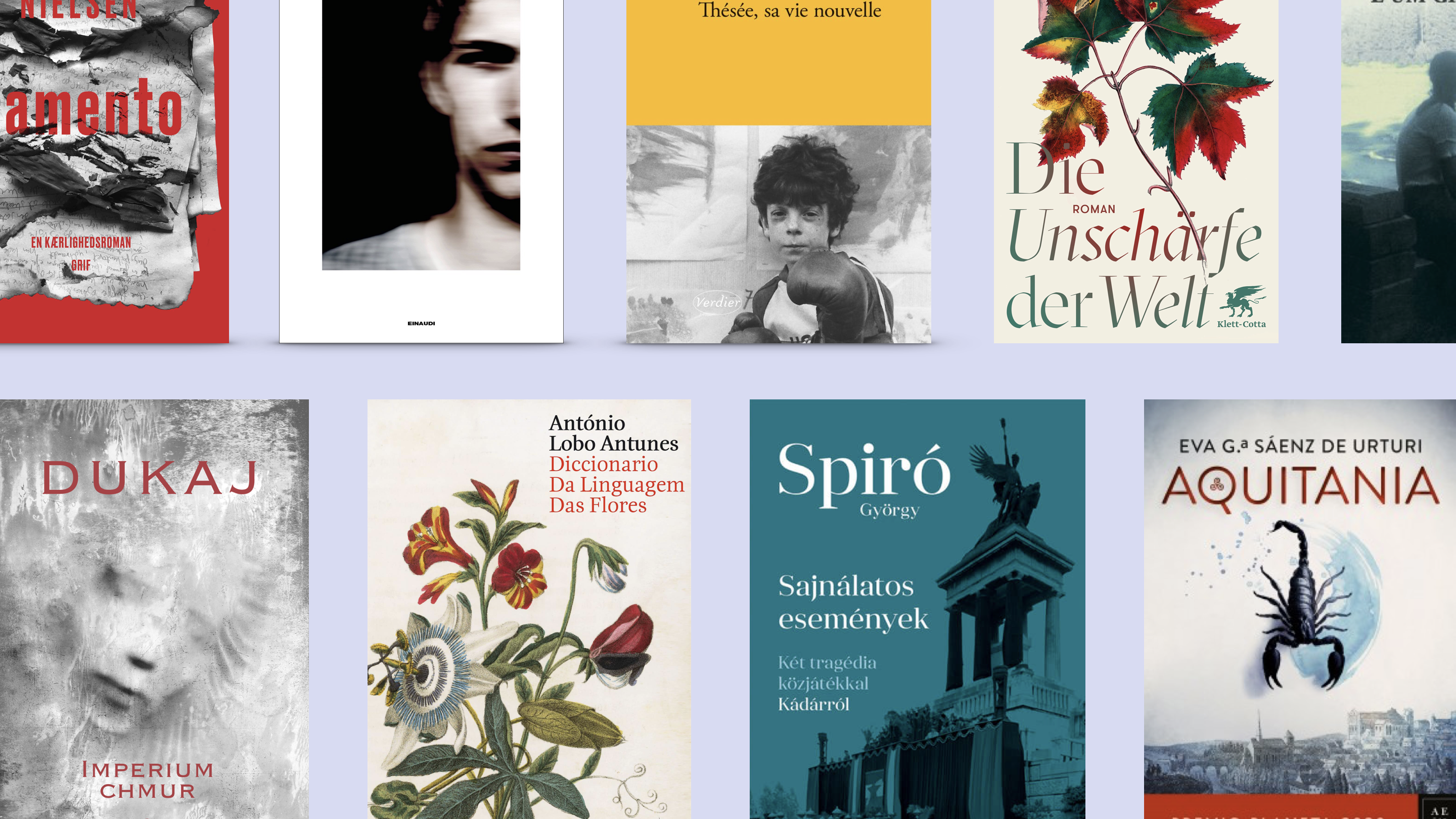 15 Fictions D Europe A Lire En Novembre Le Grand Continent