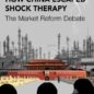 How Chine Escaped Shock Therapy : The Market Reform Debate