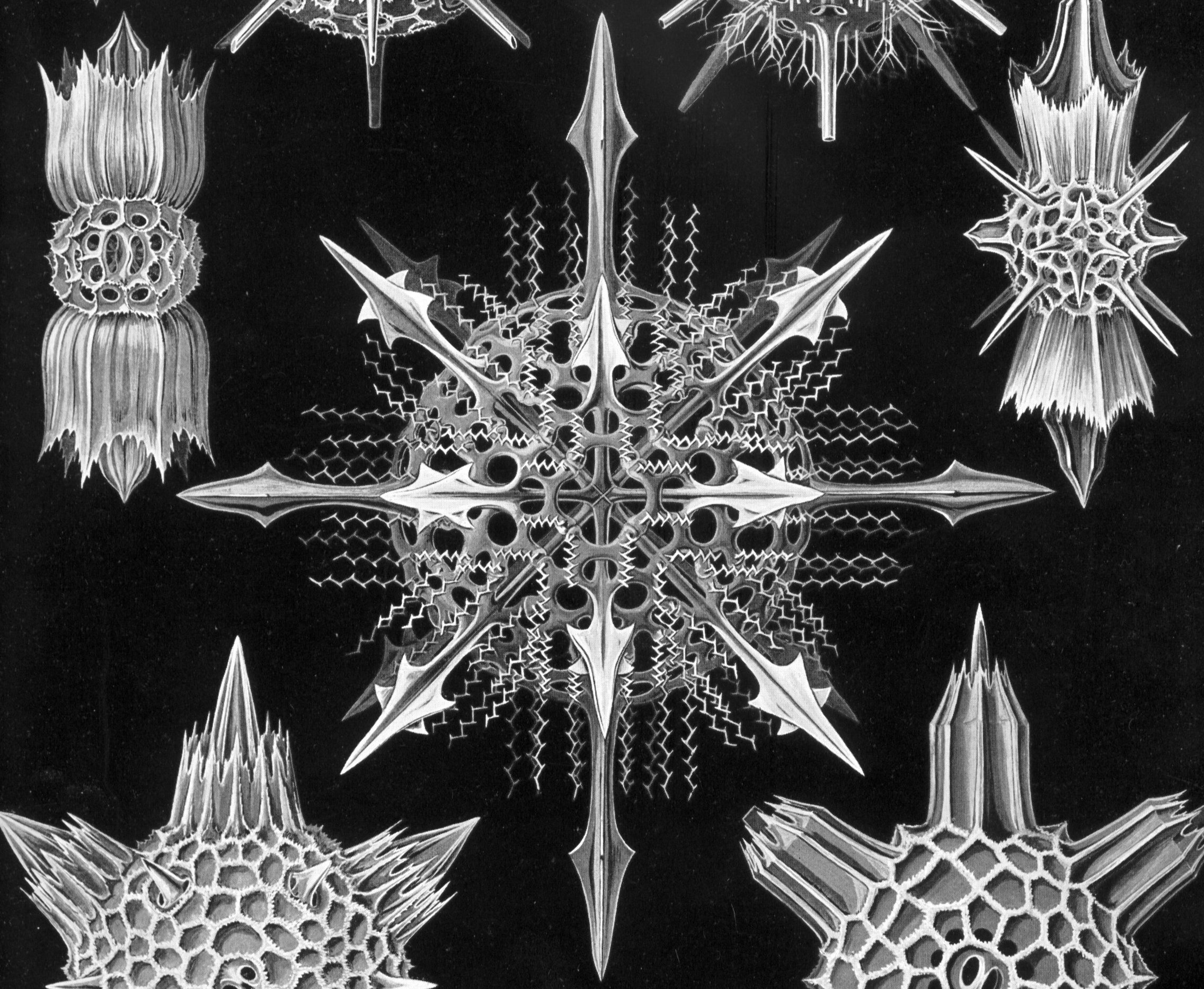 Une boussole du progrès : construire l’Union écosocialiste | Le Grand