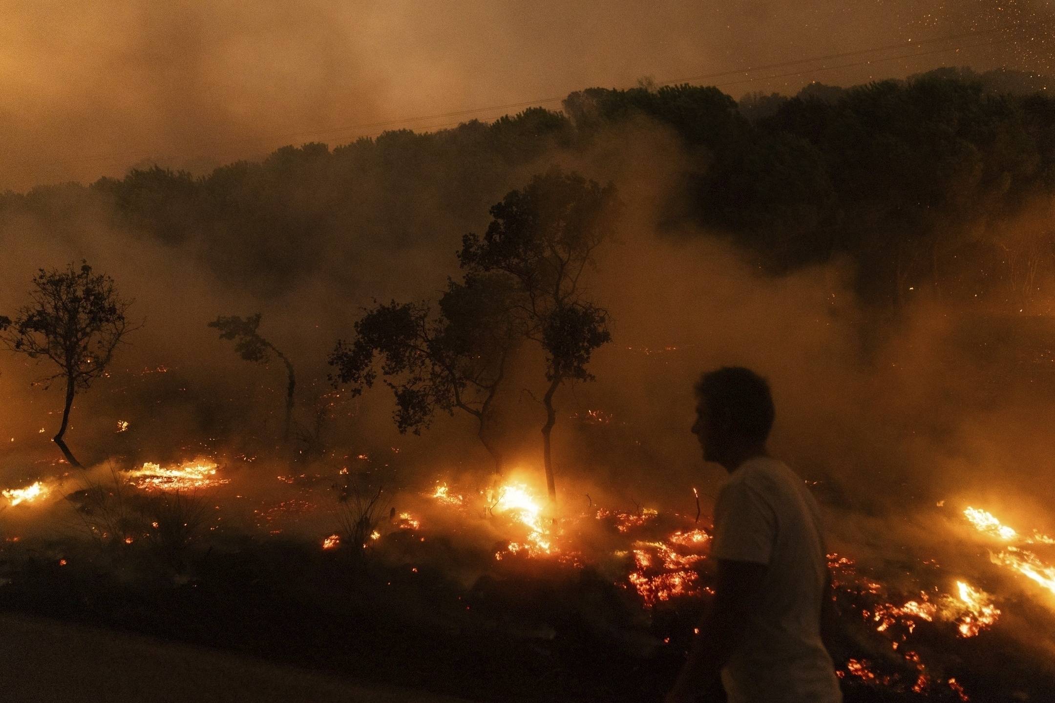 Vue des flammes d'une forêt en feu, dans le village de Dikela, près de la ville d'Alexandroupolis, dans la région d'Evros, au nord-est de la Grèce, le 22 août 2023. © AP Photo/Achilleas Chiras