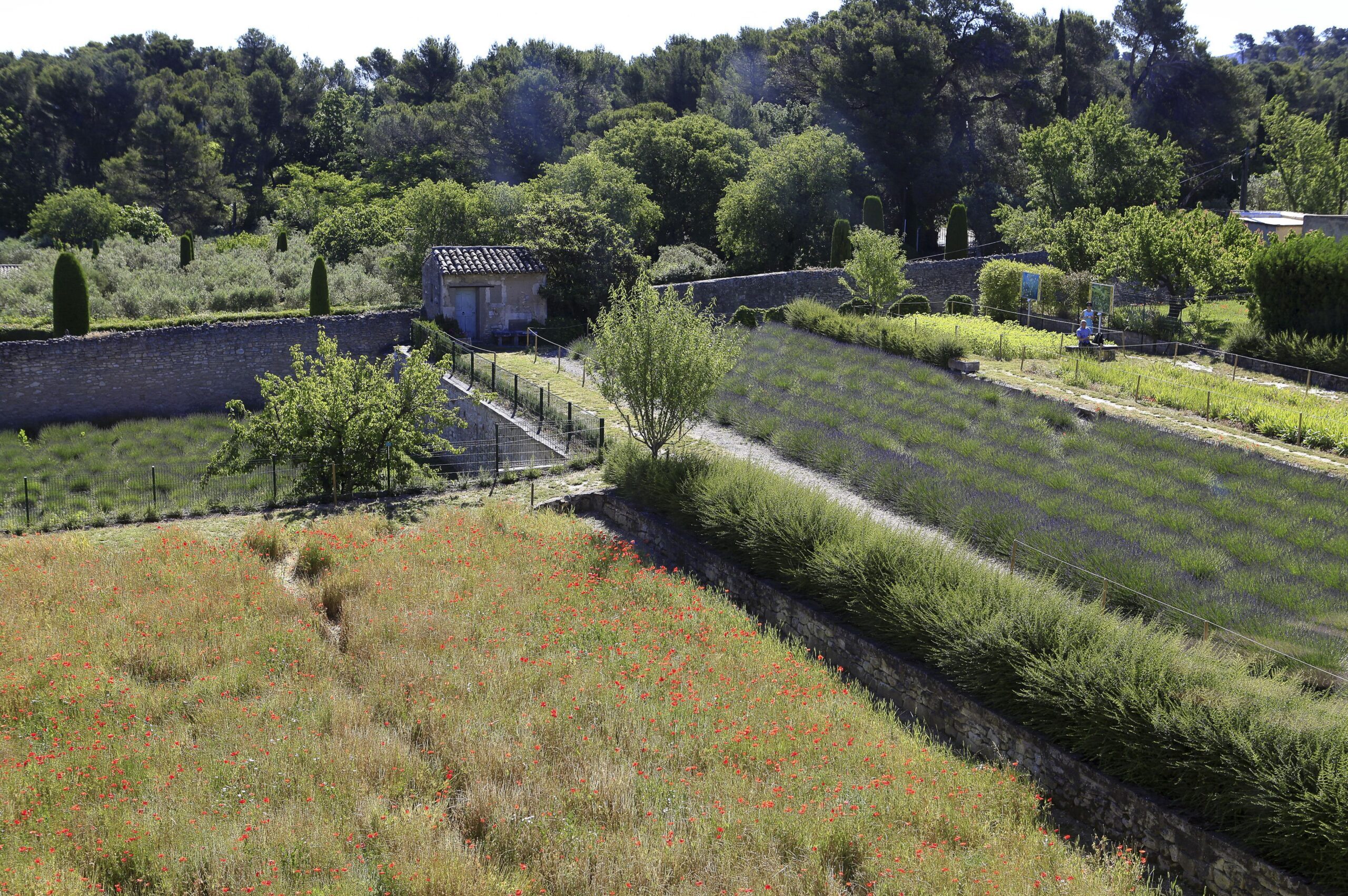 Jardin du centre culturel Van Gogh, Saint-Rémy-de-Provence. ©Jose Nicolas/SIPA