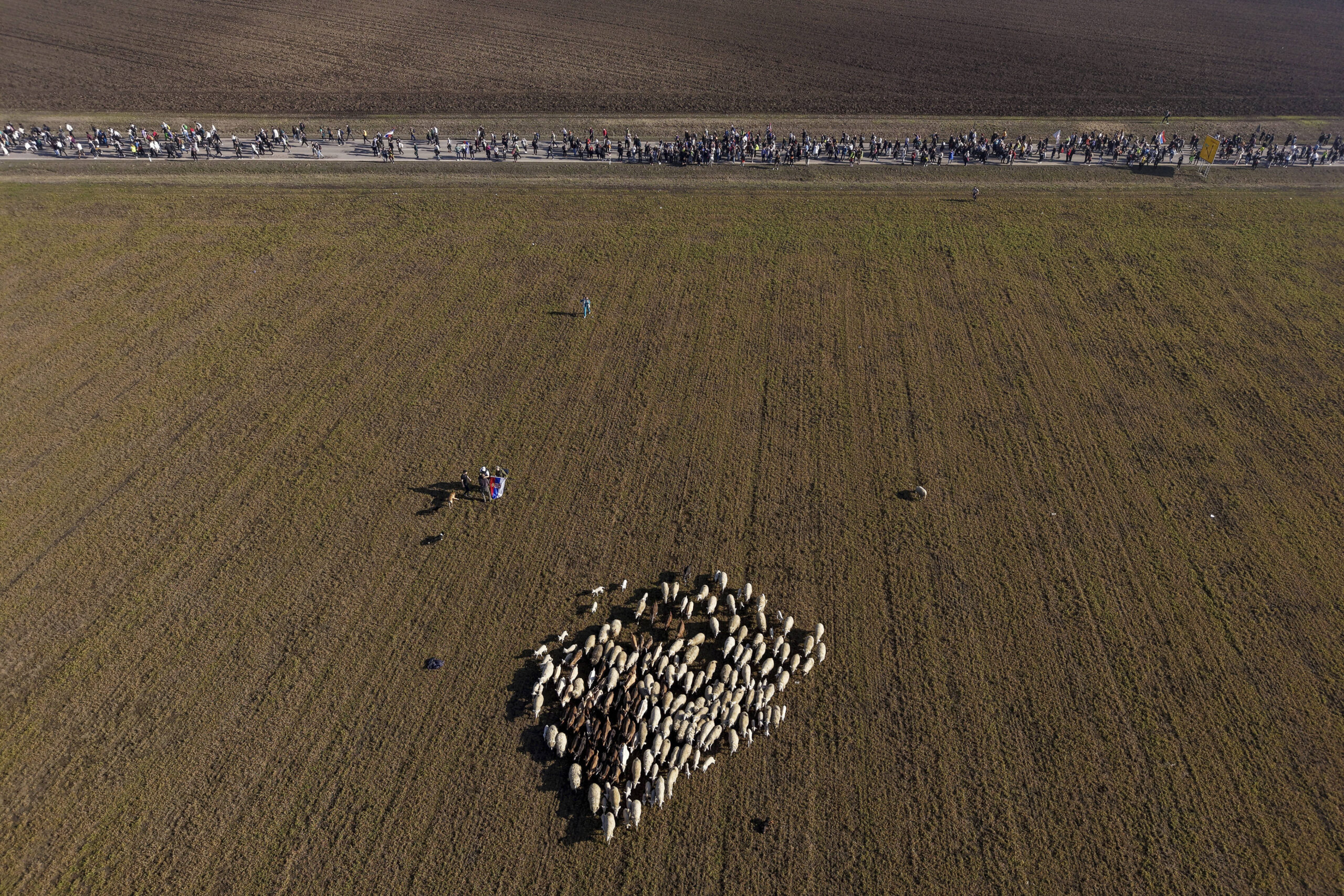 Des étudiants défilent dans les champs du nord du pays à Indjija, en Serbie, le vendredi 31 janvier 2025. © Photo AP/Armin Durgut