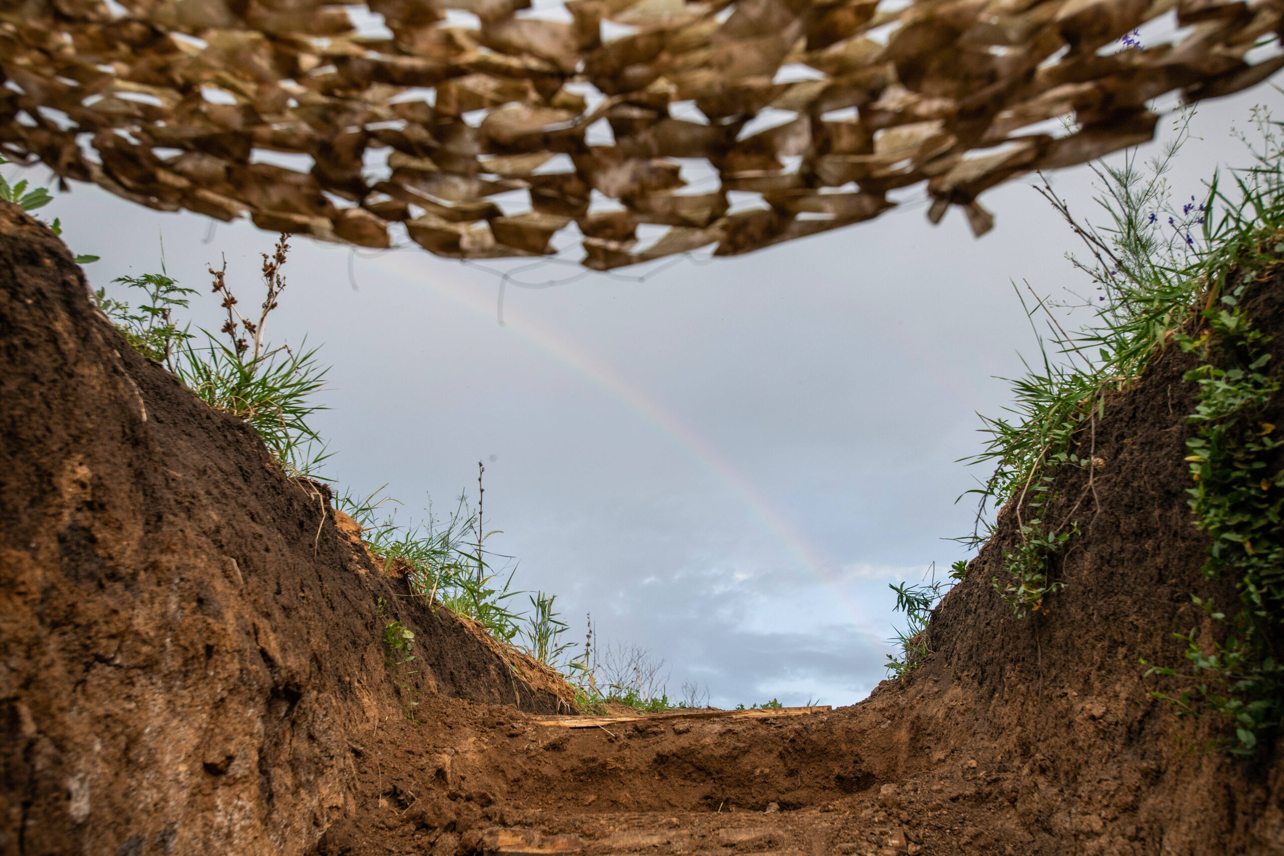 Photo par Laurel Chor (SOPA Images)
