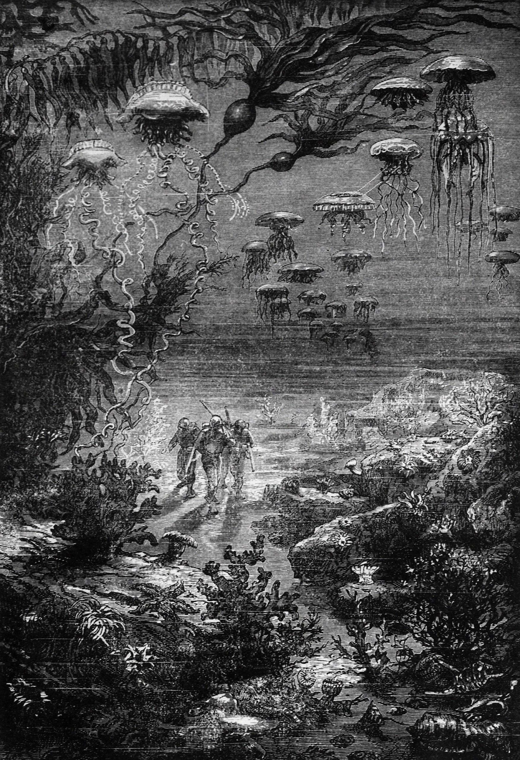 Illustration pour «L'Île mystérieuse» de Jules Verne, 1874
