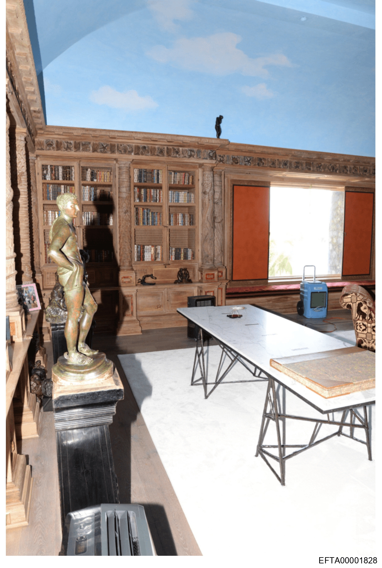 «Perspectives», Little St. James Photographie numérique (prise de vue judiciaire), EFTA00001828