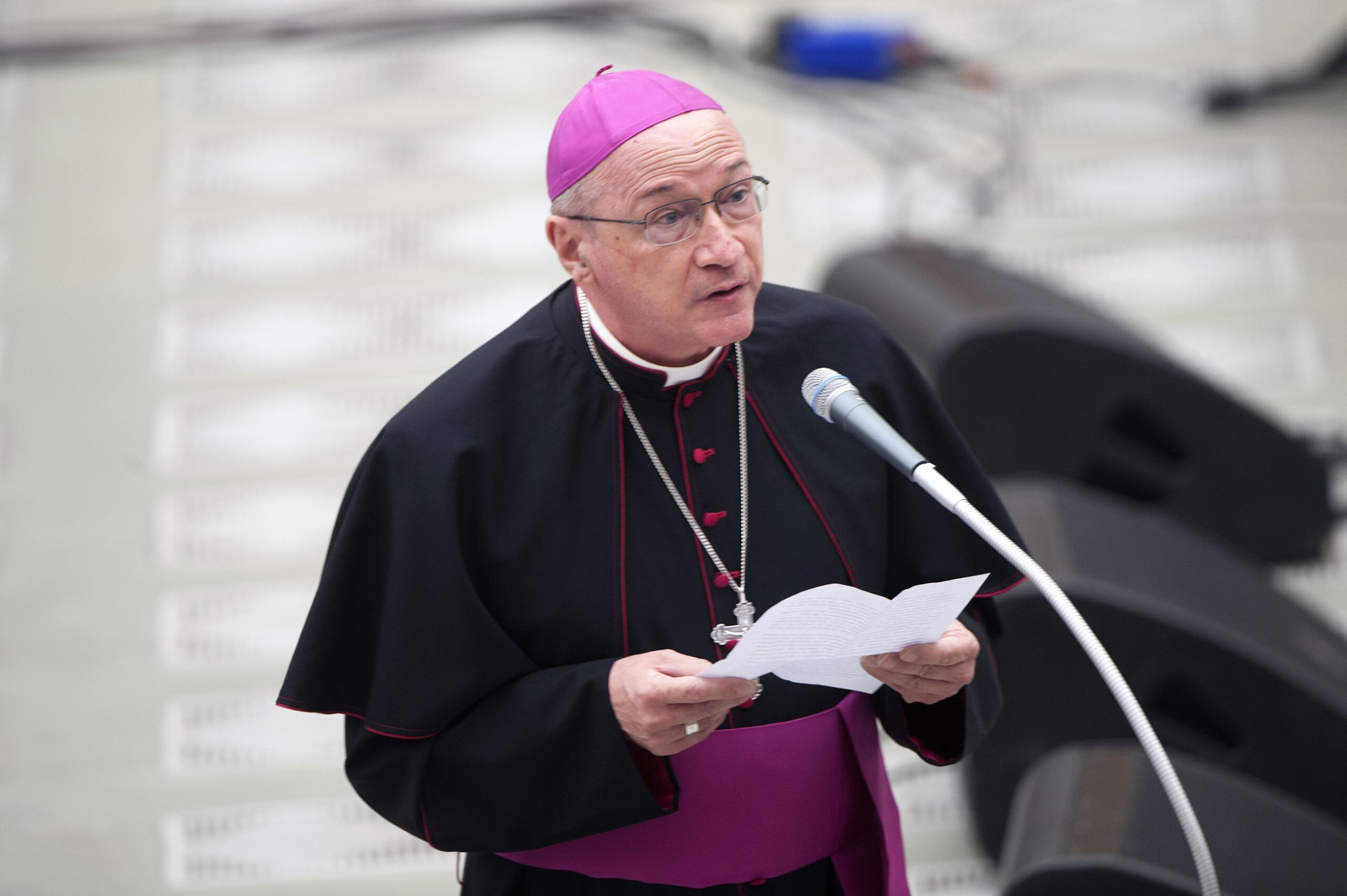«Comme Iannone, Mgr Redaelli, né en 1956, est un canoniste de formation, de même génération que Léon XIV.»