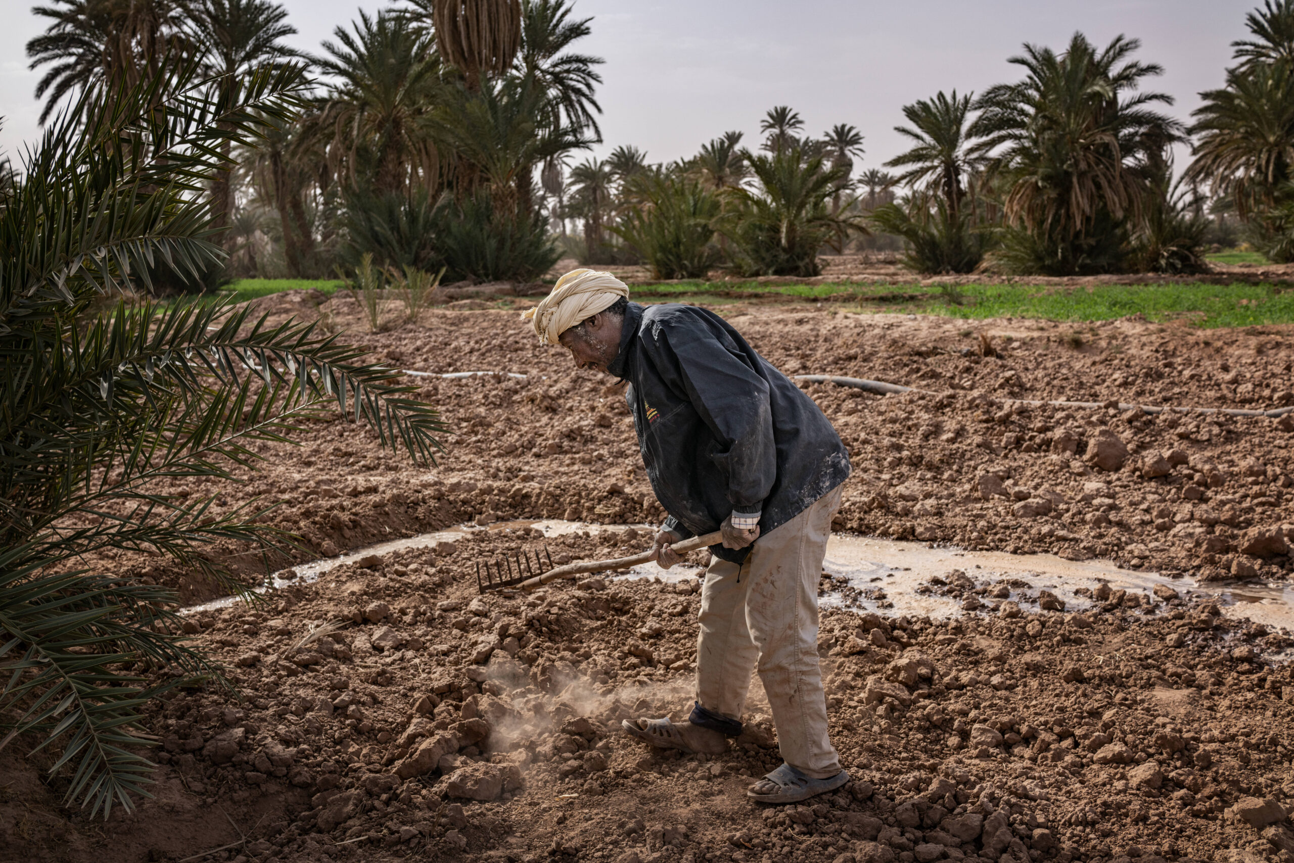 Un agriculteur ameublit le sol tandis que l’eau, pompée à partir d’un puits à l’aide d’une pompe solaire, irrigue un champ. © James Whitlow Delano/SIPA