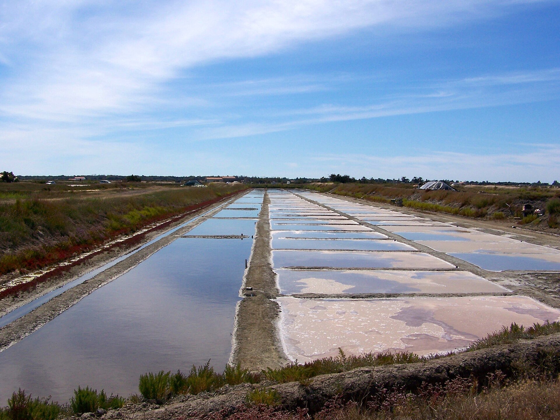 Marais salant d’Ars en Ré, 2019.