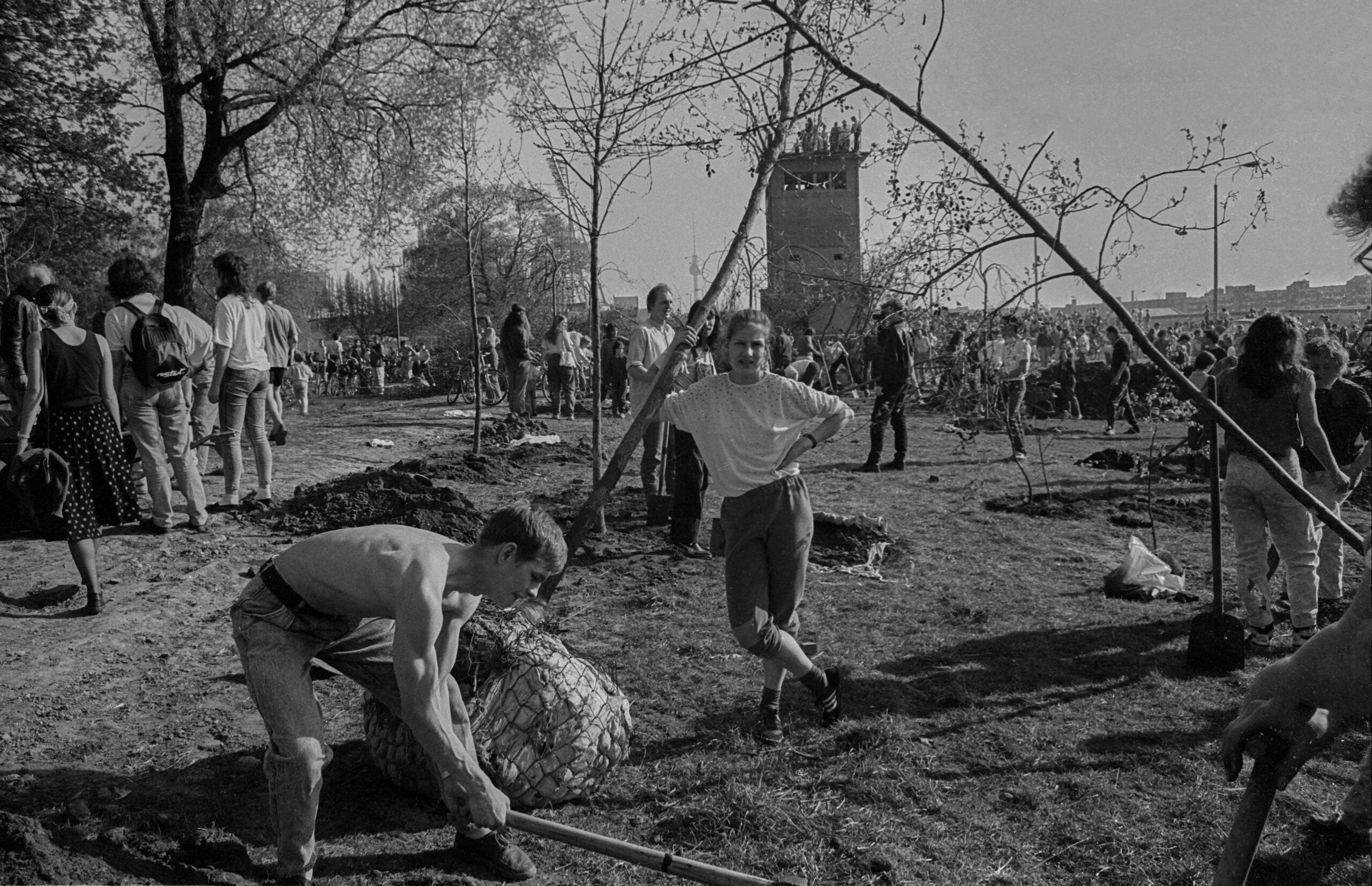 République démocratique allemande, Berlin, 1er avril 1990, des manifestants plantent des arbres le long de la bande du Mur à Falkplatz.