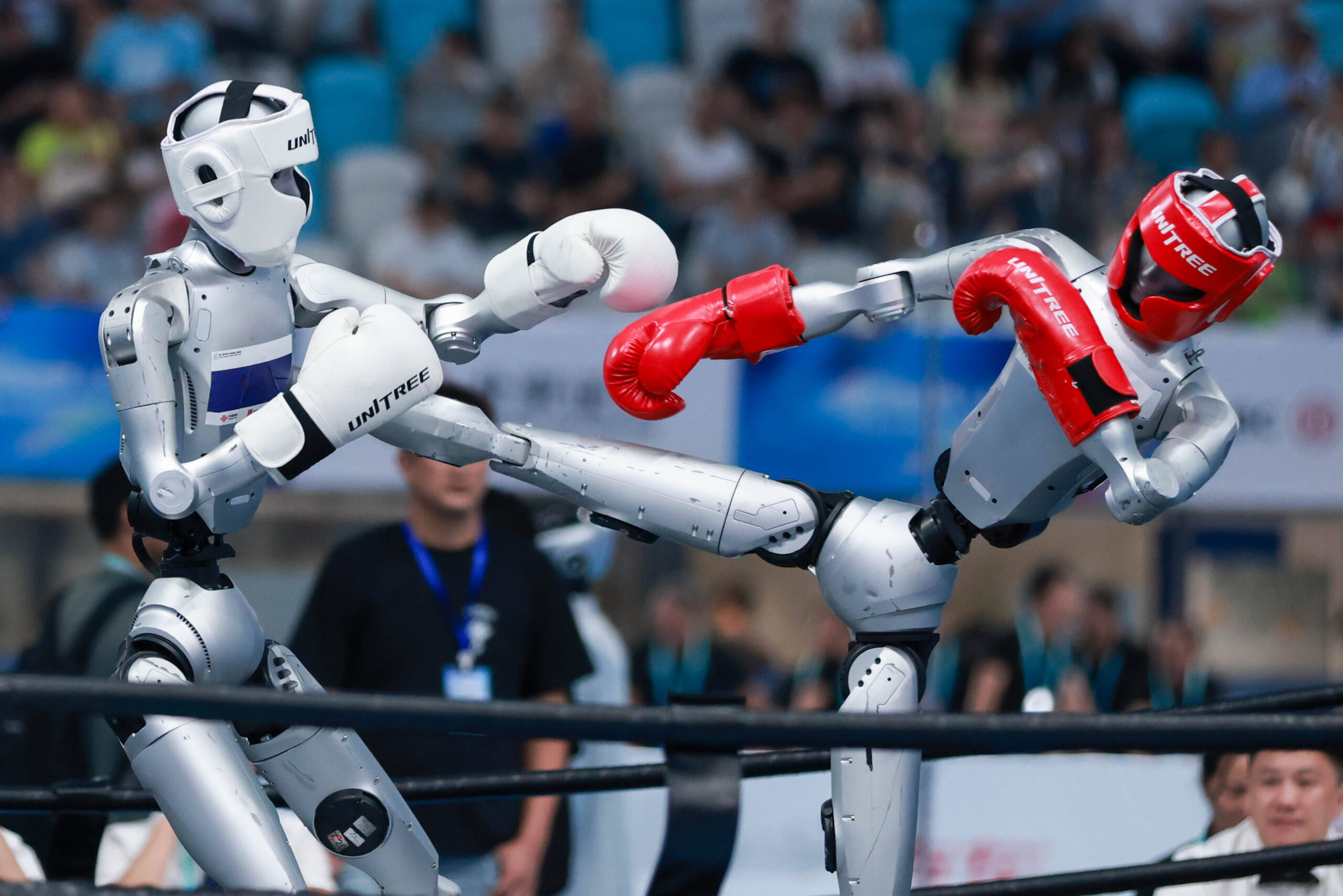 Des robots s'affrontent dans l'épreuve de kick-boxing.