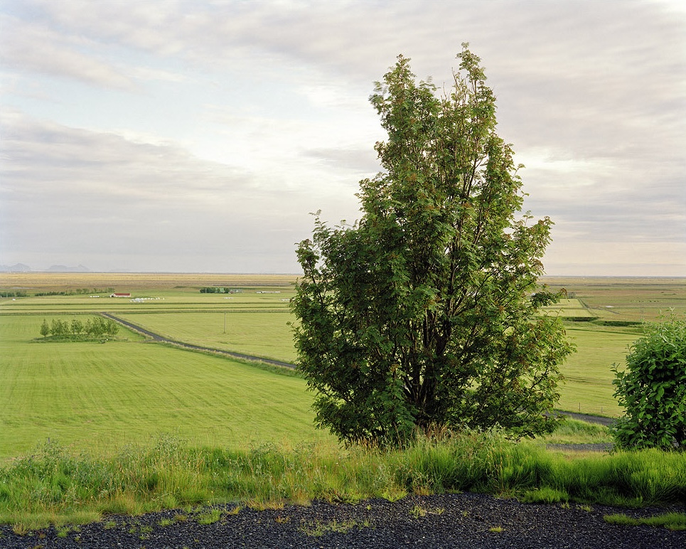 Vue depuis Breiðabólsstaður à Fljótshlíð (15 juillet 2009). © Einar Falur Ingólfsson