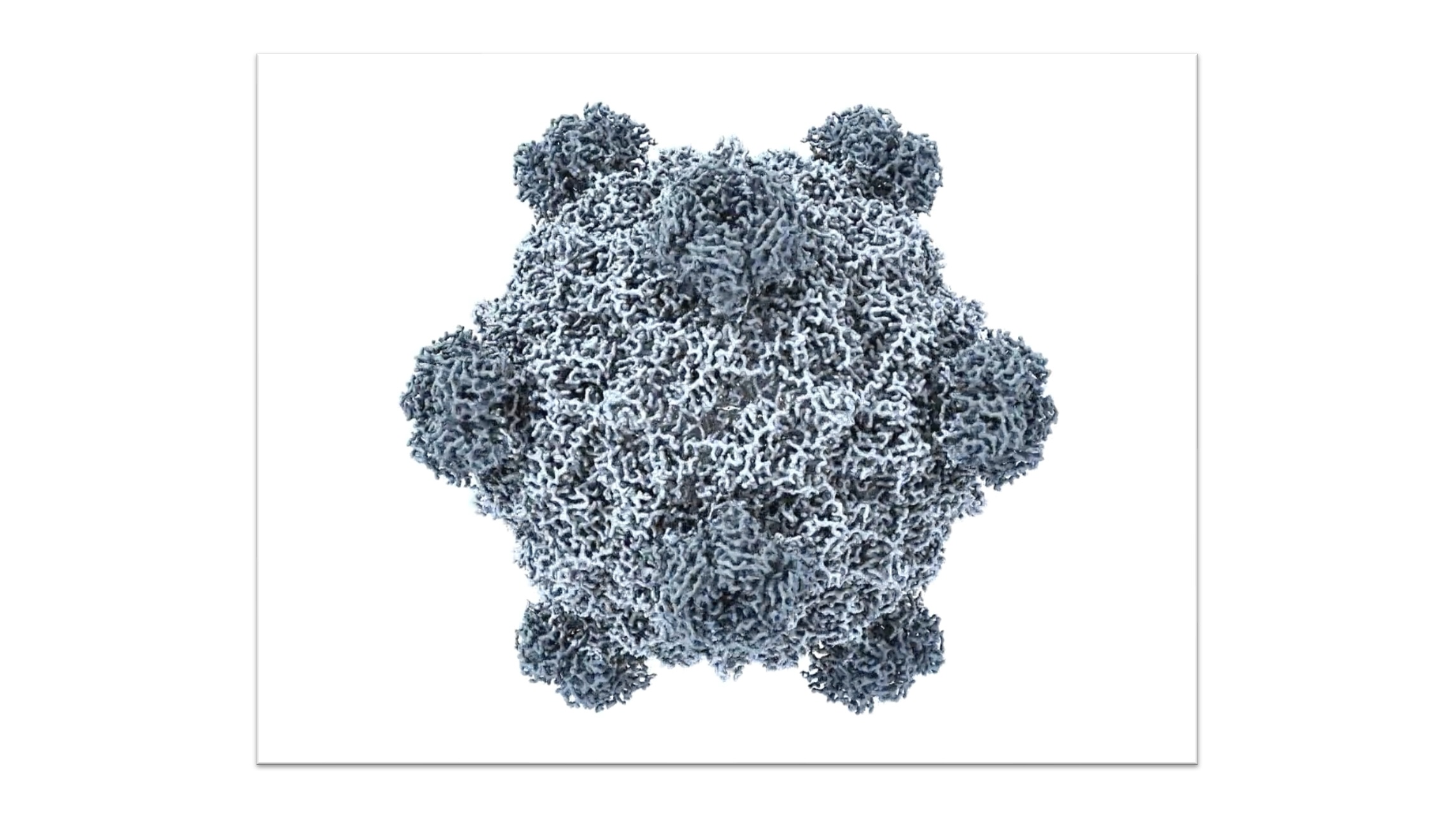ebola virus